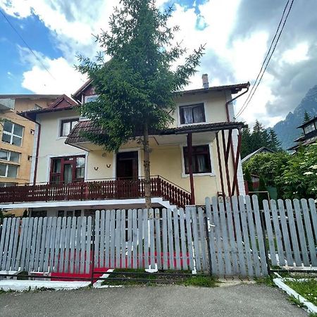 Constantinescu A. Hotel Busteni Bagian luar foto
