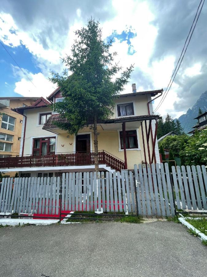 Constantinescu A. Hotel Busteni Bagian luar foto