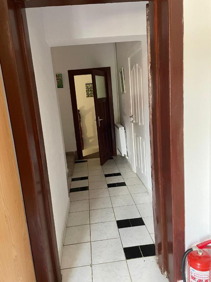 Constantinescu A. Hotel Busteni Bagian luar foto