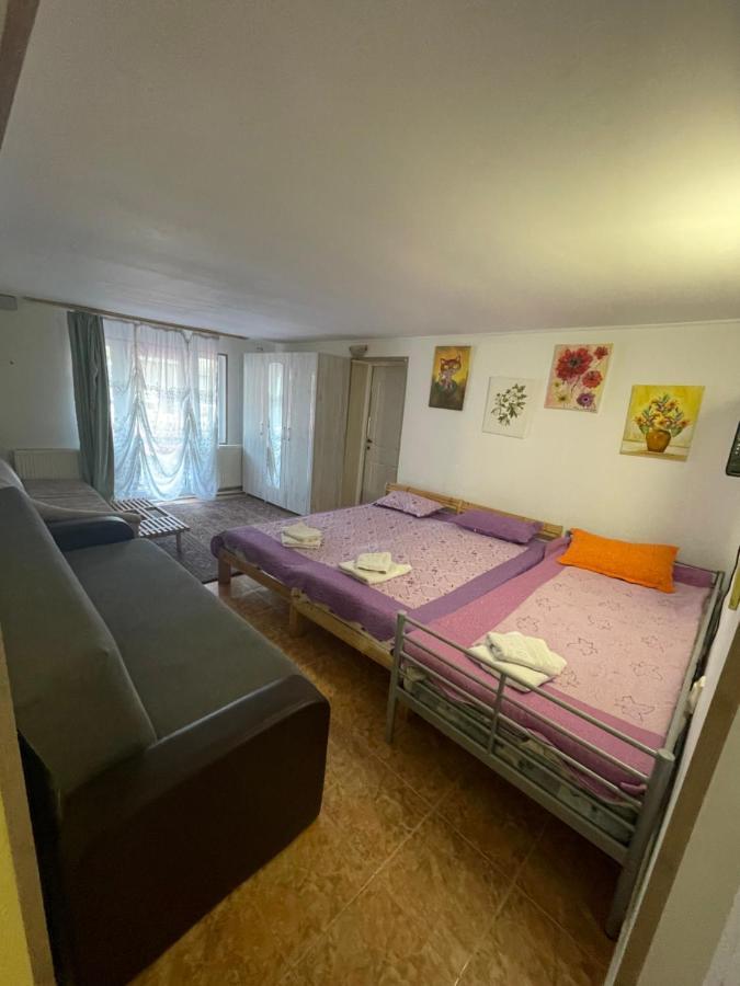 Constantinescu A. Hotel Busteni Bagian luar foto