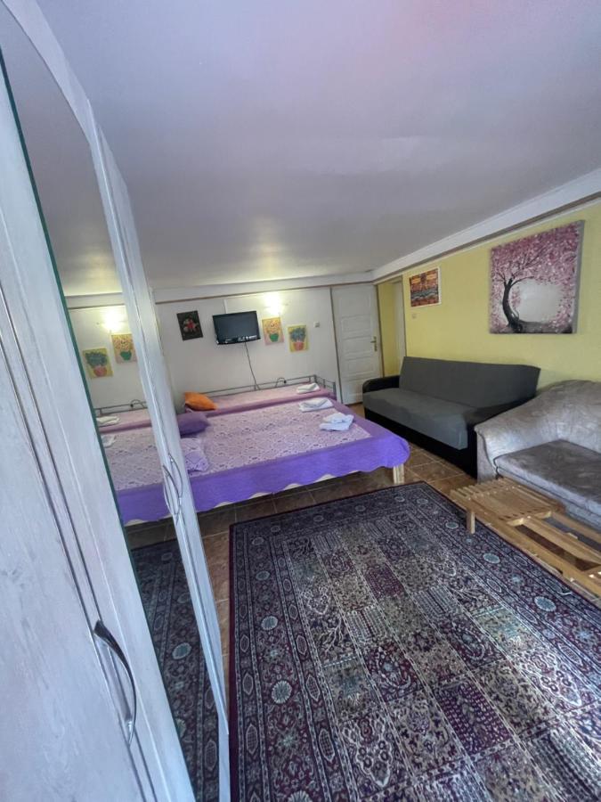 Constantinescu A. Hotel Busteni Bagian luar foto