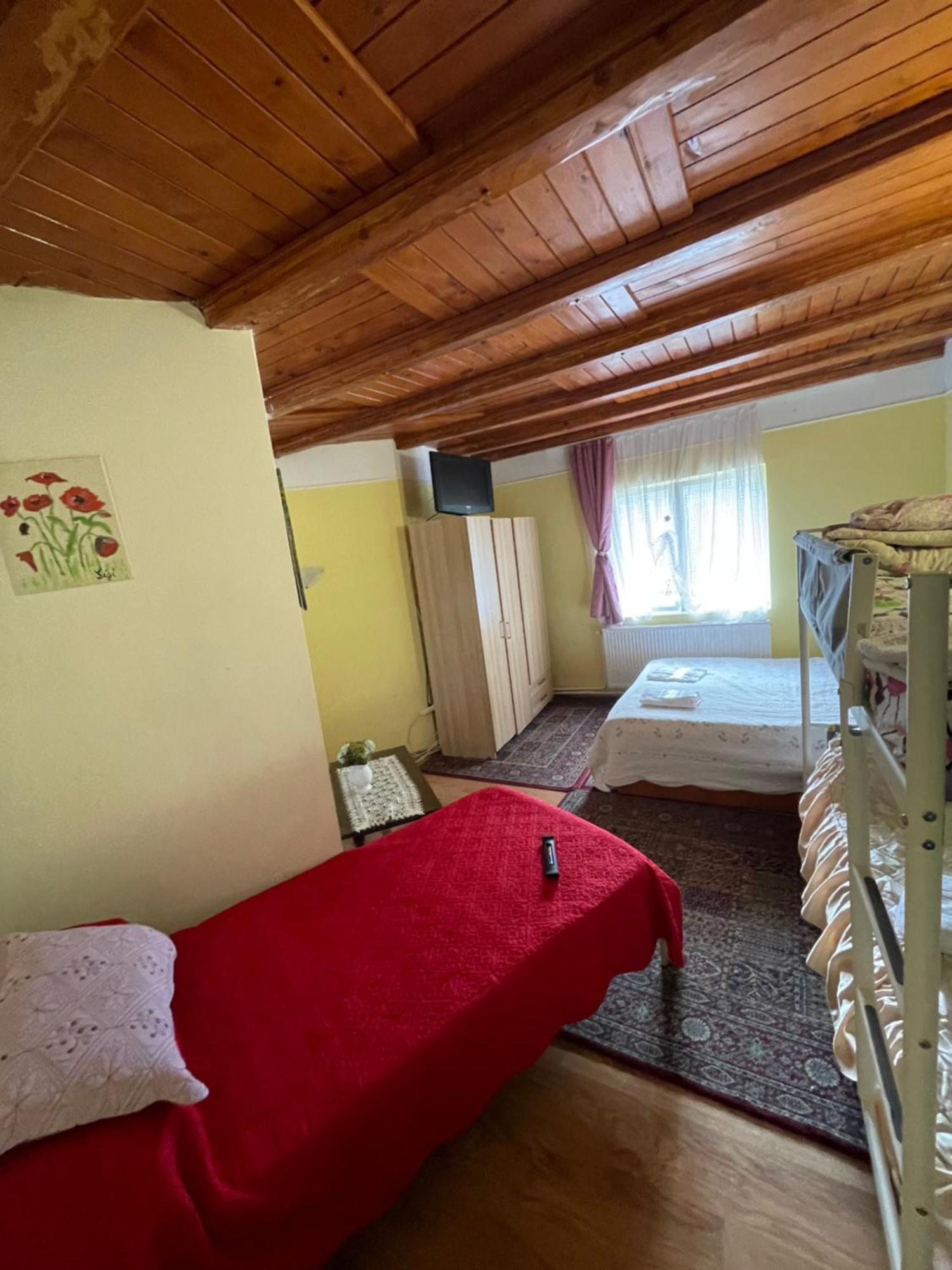 Constantinescu A. Hotel Busteni Bagian luar foto