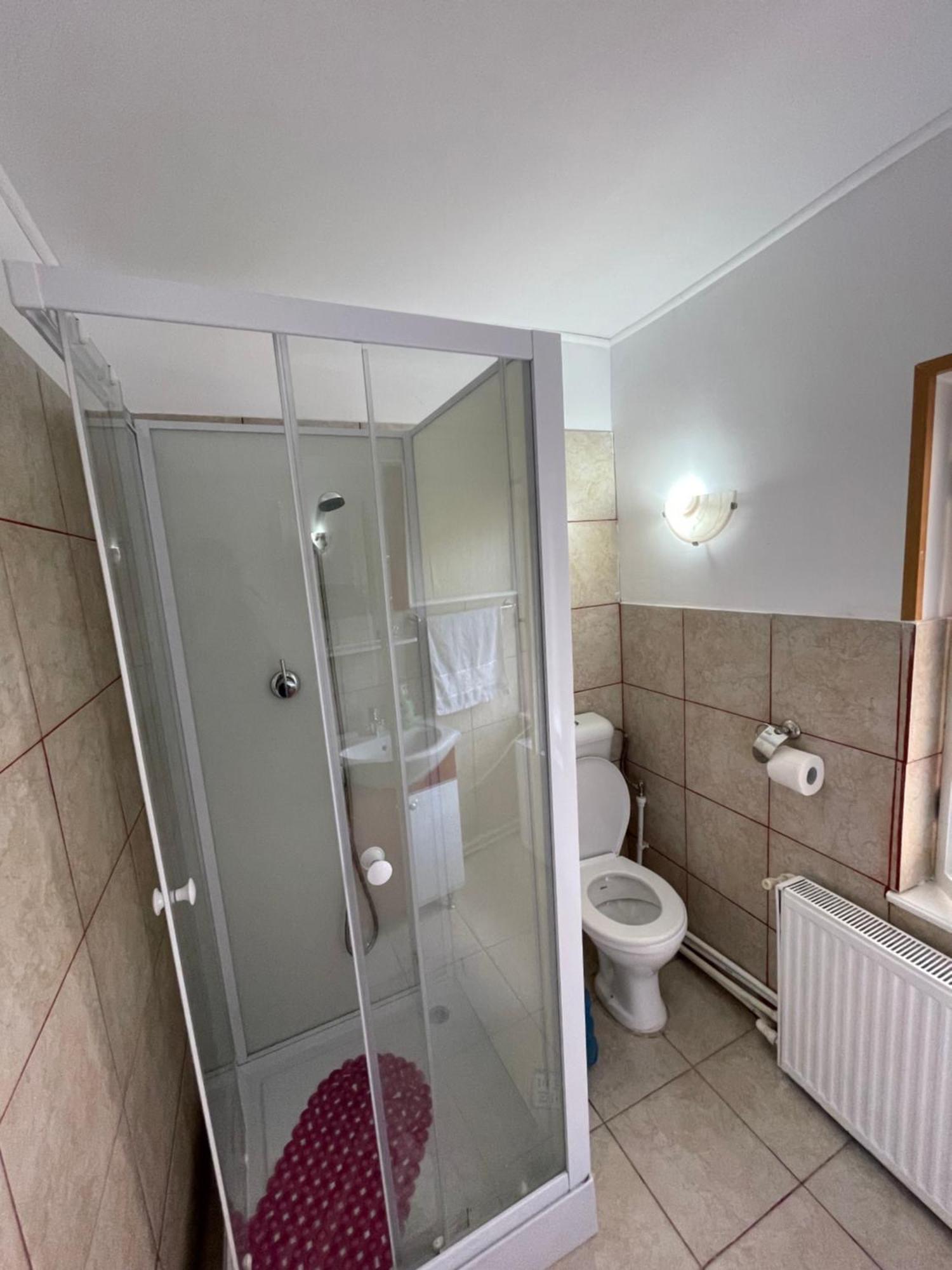 Constantinescu A. Hotel Busteni Bagian luar foto