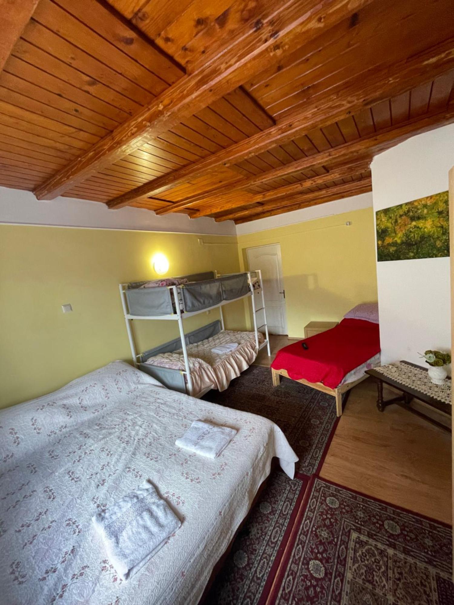 Constantinescu A. Hotel Busteni Bagian luar foto