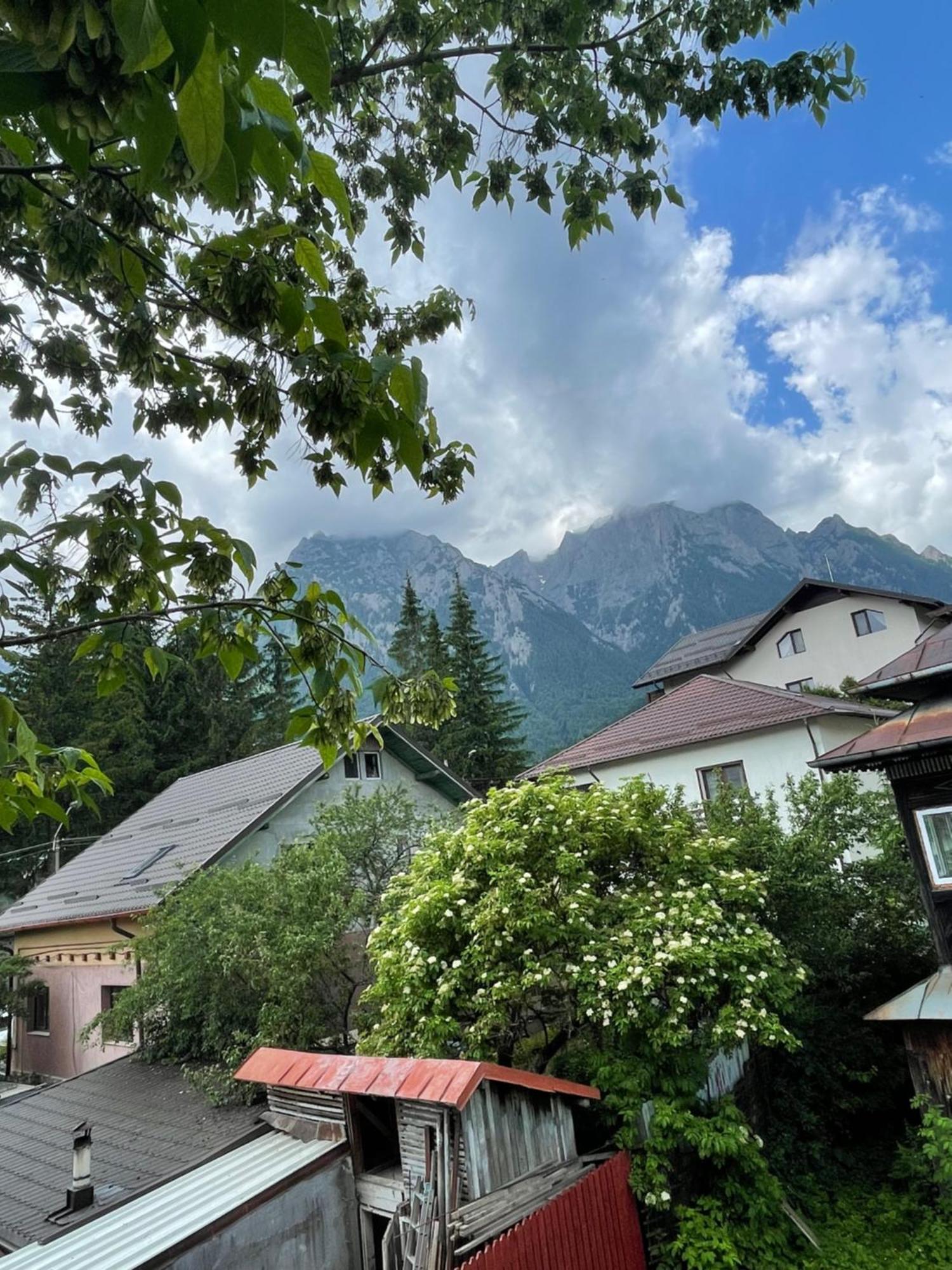Constantinescu A. Hotel Busteni Bagian luar foto