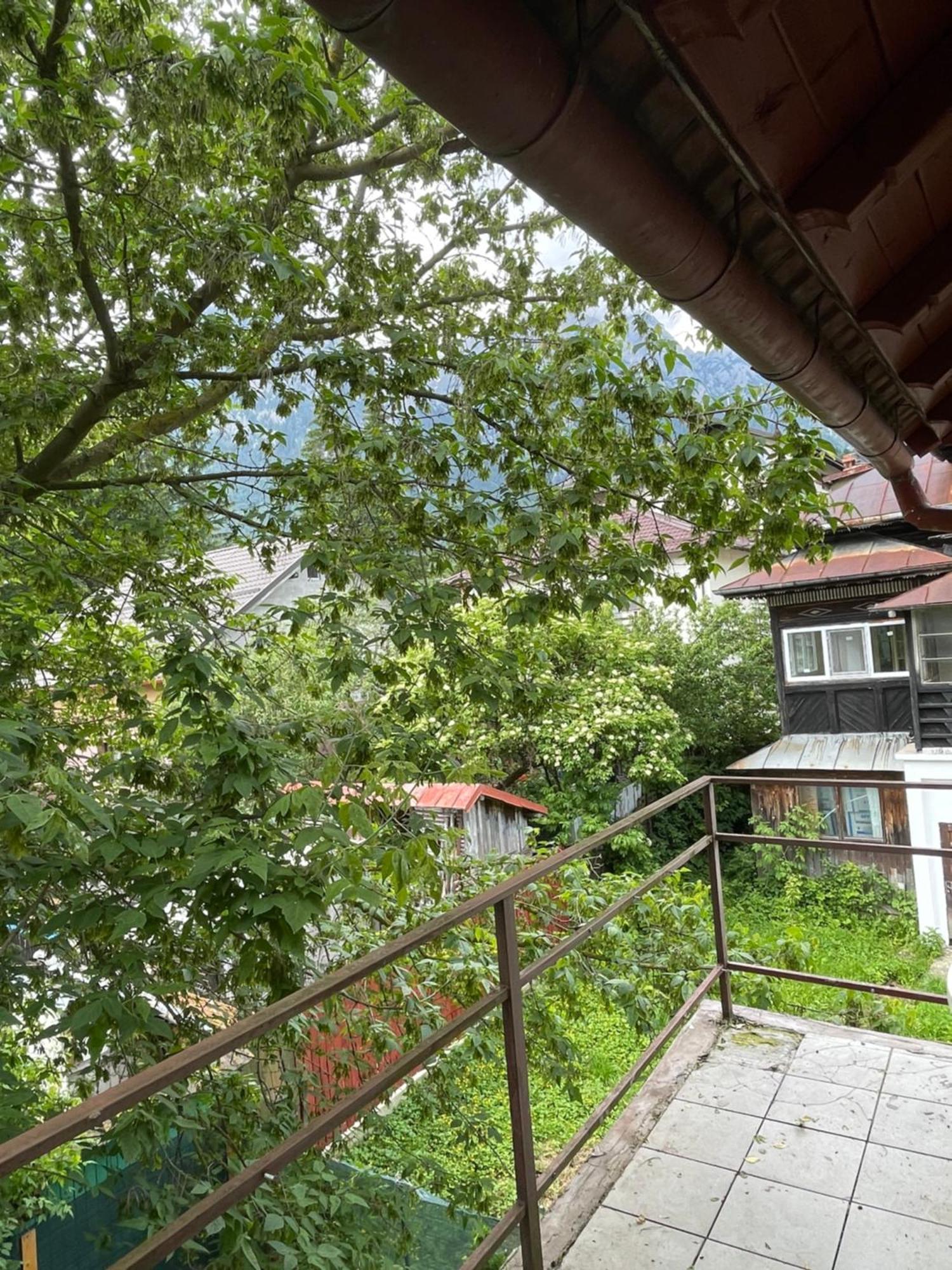 Constantinescu A. Hotel Busteni Bagian luar foto