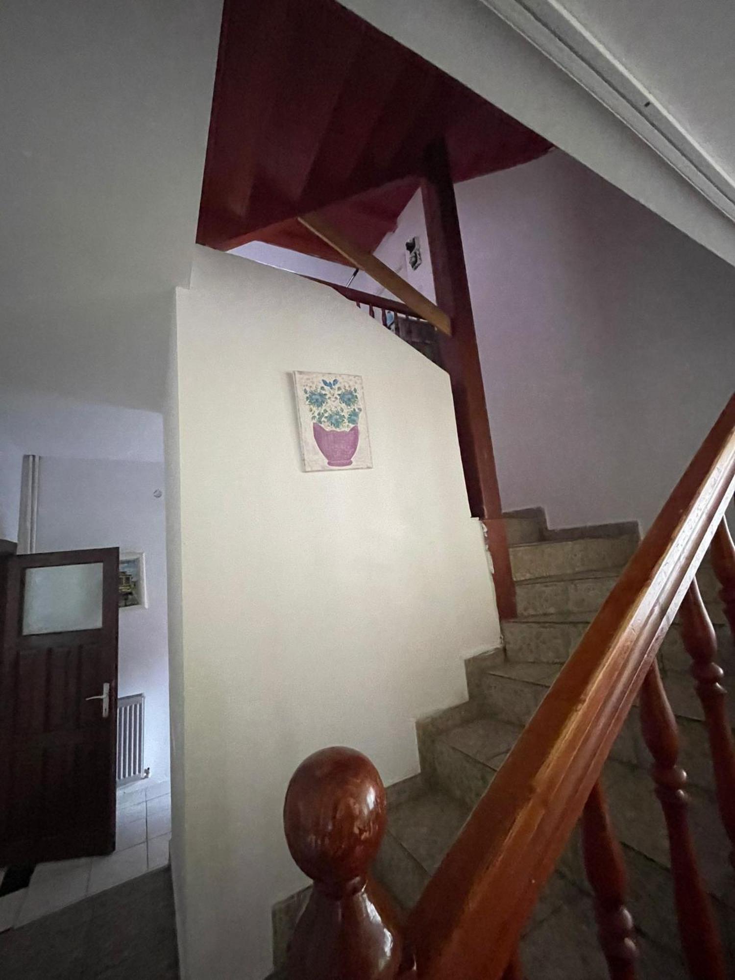 Constantinescu A. Hotel Busteni Bagian luar foto